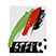 STFV Cup Logo