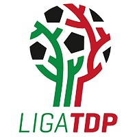 Liga TDP Group 10 Logo