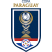 Copa Paraguay Logo