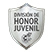 División De Honor Juvenil Playoffs Logo