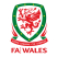 FAW Championship North Logo