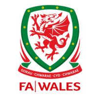 FAW Championship Logo