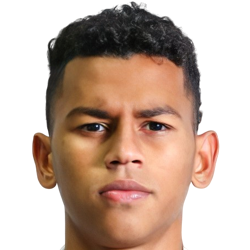 Fernando Henrique do Nascimento Pereira Portrait