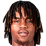 Renato Sanches Portrait