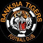 Banksia Tigers