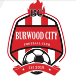 Burwood City FC