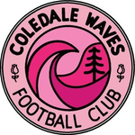 Coledale Waves FC