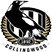 Collingwood City FC Stats