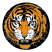 Eastern Suburbs SC Brisbane Under 20 Logo