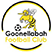 Goonellabah FC Статистика