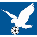 Hazelbrook Hawks FC