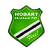 Hobart United FC Stats