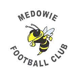 Medowie FC