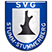 SVG Stumm Статистика