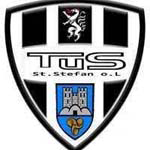 TUS St. Stefan / Leoben logo