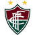 Fluminense de Feira Under 20 Stats