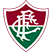 Fluminense FC Under 23 สถิติ