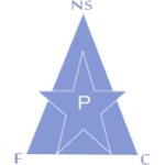 New Star de Douala logo