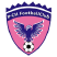 Shenzhen Pengcheng FC Logo