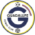 Guadalupe FC Stats