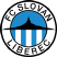 FC Slovan Liberec II Stats