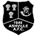 Ashville FC 1949 Статистика