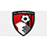 Bournemouth Sports LFC Staty