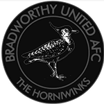 Bradworthy WFC