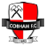 match - Cobham FC vs Horley Town FC