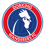 Dorking Wanderers FC County Cup