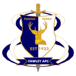 Fawley AFC