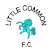 Little Common FC Stats