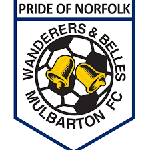 Mulbarton Wanderers Women logo