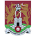 Northampton Town Under 18 Статистика