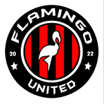 Flamingo United II