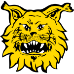 Tampereen Ilves II