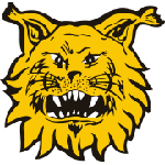 Tampereen Ilves III