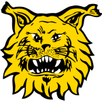 Tampereen Ilves Under 20