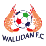 Wallidan