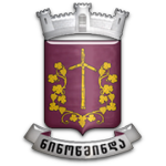 FC Paravani Ninotsminda