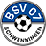 BSV 07 Schwenningen Stats