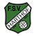 FSV Harthof München Stats