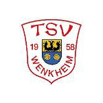 SpG Welzbachtal logo