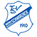 TSV Badenia Schwarzach Logo