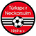 Türkspor Neckarsulm Stats