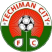 Techiman Eleven Wonders FC Stats