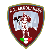 Atletico Vesuvio Ercolanese 1924 Logo