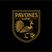 Pavones ADMC Stats