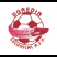 Dunedin Technical Logo