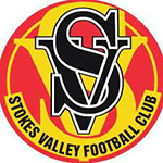 Stokes Valley FC